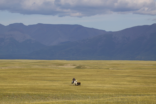 Mongolia landscapes
